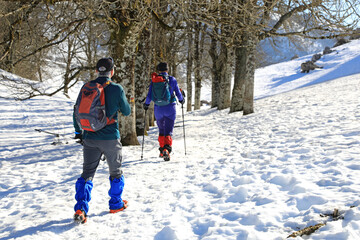 senderistas montañeros  con bastones y grampones en la nieve entre árboles país vasco...