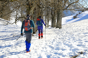 senderistas montañeros  con bastones y grampones en la nieve entre árboles país vasco...