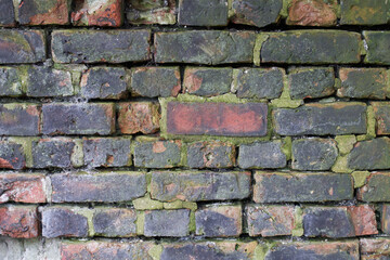 Old wall in need of pointing