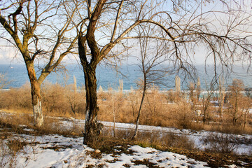 Early spring melting snow landscape with trees and dry grass and water panoramic view