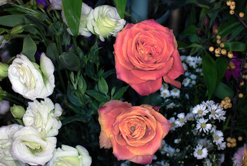 Close-up of a mixed bouquet of roses,summer flowers background.