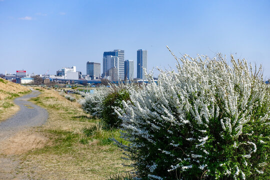 81 Best 多摩川土手images Stock Photos Vectors Adobe Stock