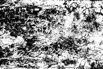 Fototapeta premium Destroyed&nbsp;crumbled&nbsp;plaster&nbsp;on&nbsp;aged&nbsp;scratchy&nbsp;brushed&nbsp;surface.&nbsp;Shabby&nbsp;antique&nbsp;urban&nbsp;putty.&nbsp;Rough&nbsp;grunge&nbsp;chipped&nbsp;scraps&nbsp;on&nbsp;worn&nbsp;block.&nbsp;Old&nbsp;messy&nbsp;rustic&nbsp;peeling&nbsp;stone.&nbsp;Retro&nbsp;moldy&nbsp;bumpy&nbsp;slab&nbsp;for&nbsp;3d&nbsp;design