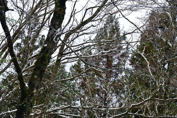 a day in which it is snowing