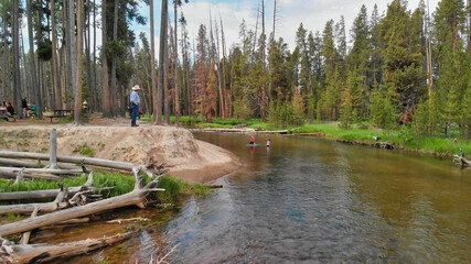 Yellowstone forest and river panoramic aerial view in summer season, Wyoming, USA