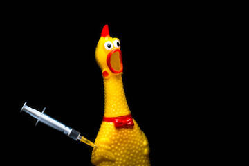 Chicken toy on a black background into which several syringes with GMO liquid are stuck. The...