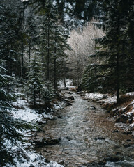 Almtal Hetzautal Salzkammergut Ober&ouml;sterreich