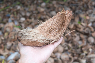 Man holding coconut shell after peeling