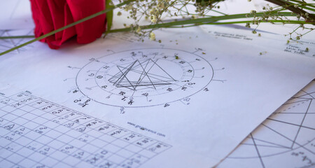 Printed natal charts with a red rose, astrology st Valentin day