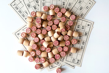 Family Lotto board game. Cards and barrels with numbers.