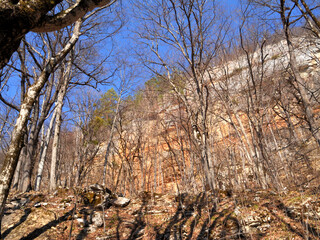 Obraz premium Forest and mountains in early spring