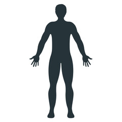 Male human character, people man front side body silhouette, isolated on white, flat vector illustration.