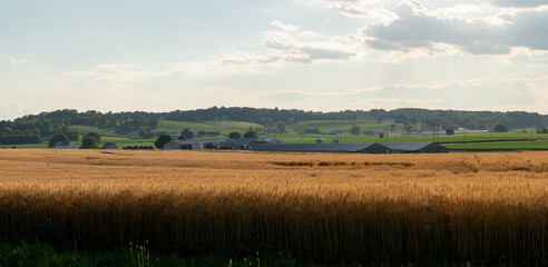 Chicken houses and Wheat Fields © World Travel Photos