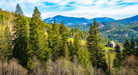 Fototapeta na wymiar Beautiful forests covering the Carpathian mountains and a small village