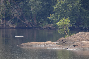 Susquehanna River Rocks