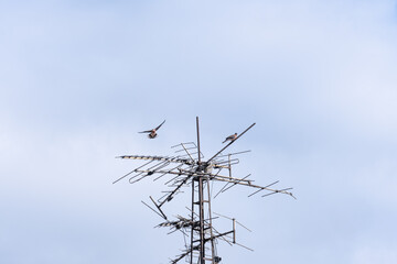 old television antenna and gray clouds