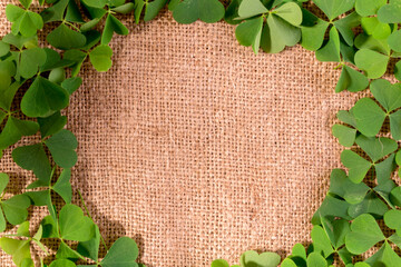 Happy Saint Patrick's Day background with a round frame made of green fresh shamrock leaves on a...