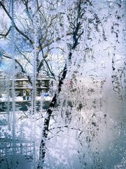 une fenêtre givrée en hiver