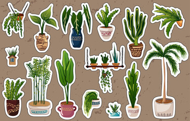 Fototapeta na wymiar Vector hand drawn template for stickers of tropical houseplants in pots and vases for Indonesian interior design, card, illustration, website, plant magazine, shop, banner