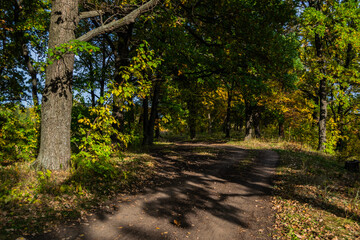 gravel road with foliage in sunny autumn forest in countryside, Samara, Russia
