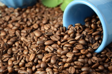 Coffee beans pouring out of a blue cup Roasted Arabica grain coffee background