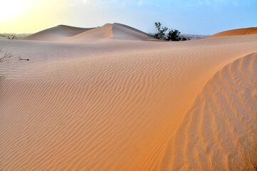 Fototapeta na wymiar View of the Sahara desert in Morocco