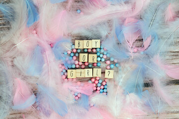 Boy or Girl text surrounded with pastel colored feathers, Gender reveal gathering party concept....