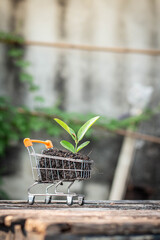 Trees grow on compost and mini shopping cart with natural light background (Business and finance...