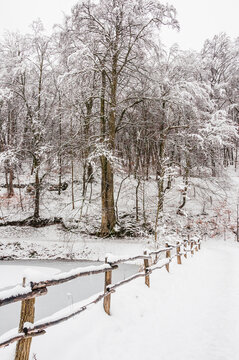 Arlesheim, Ermitage, See, Winter, Schnee, Schneedecke, Schneefall, Wanderweg, Winterwanderung, Wald, Waldweg, Eis, Eisfl&auml;che, Baselland, Schweiz