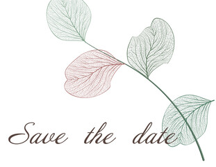 Wedding invitation with leaves eucalyptus, isolated on white. Vector 