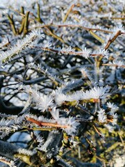 close up of ice