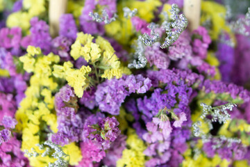 Beautiful purple and yellow flowers background, verbena flowers background.
