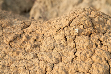Soil crack texture.