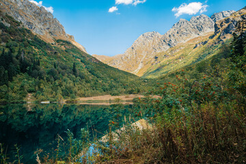 lake in summer