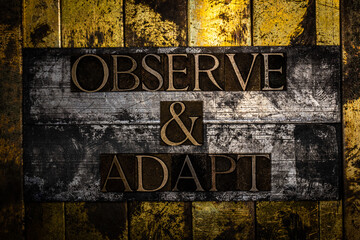Observe & Adapt text on vintage textured silver grunge copper and gold background