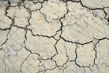 Texture of the crackled clay in desert.