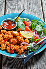 Popcorn chicken with ketchup and salad, close-up
