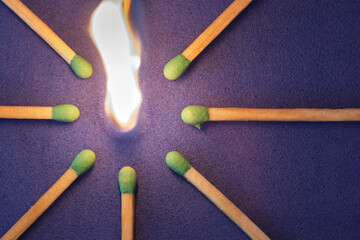 Burning match about to set others on fire, inspiration and disease spreading concept. Flat lay, top view.