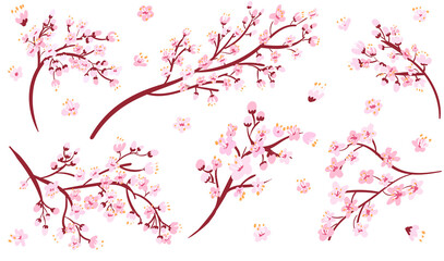 Isolated sakura branches collection . Cherry blossom set. Decorative Japan floral cartoon clipart.