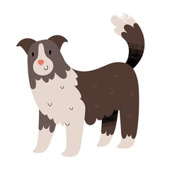 Cute border collie illustration, sheepdog or shepherd dog, vector clipart isolated
