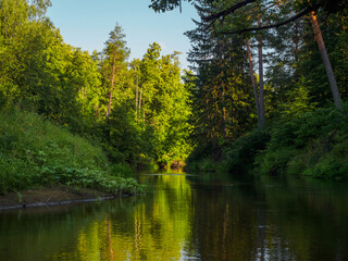 Silence on the river in the middle of the forest. Unique natural locations far from civilisation.