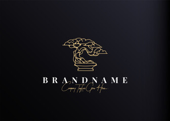 Bonsai Plant Logo Design Inspiration. Vector illustration of aesthetic bonsai and potted plants. Modern Icon Design Vector Template with Outline Style