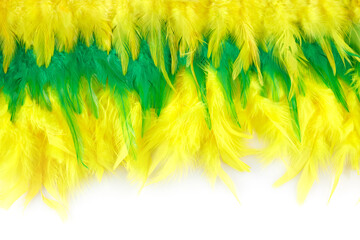 Brasil Mardi gras carnival background with multicolor feathers