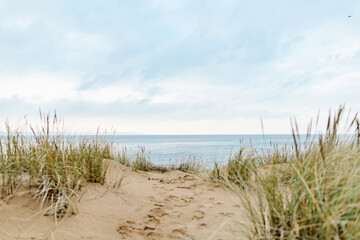 Sand Dunes in Southern Sweden