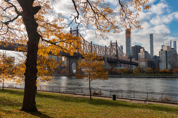 Queensbridge Park in Long Island City Queens New York during Autumn with Colorful Trees and the Queensboro Bridge along the East River