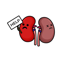 Cute kidney organ mascot design