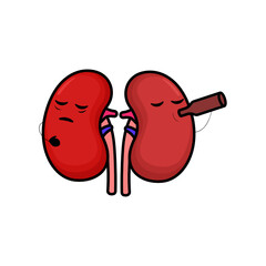 Cute kidney organ mascot design