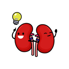 Cute kidney organ mascot design