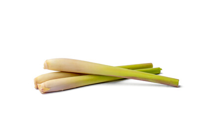 fresh lemongrass isolated on a white background.