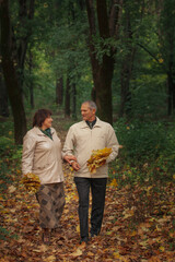 An old couple of pensioners walk in an autumn park, hold hands